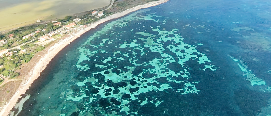 spiaggia-il-giuco-carloforte-sulcis-inglesiente-sardegna spiaggia-il-giuco-carloforte-sulcis-01